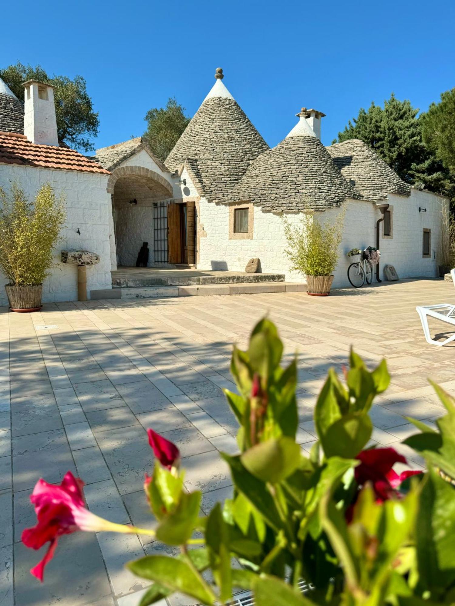 Apartmán Trulli Bosco Selva Alberobello Exteriér fotografie